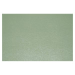 Papier Simili cuir Boréal 50 x 70 cm 230 g/m² - Vert amande