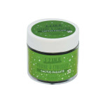 Poudre à embosser Izink pailletée 25 ml - Cactus